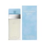 Dolce & Gabbana Light Blue Spray (Women) - 3.3 oz